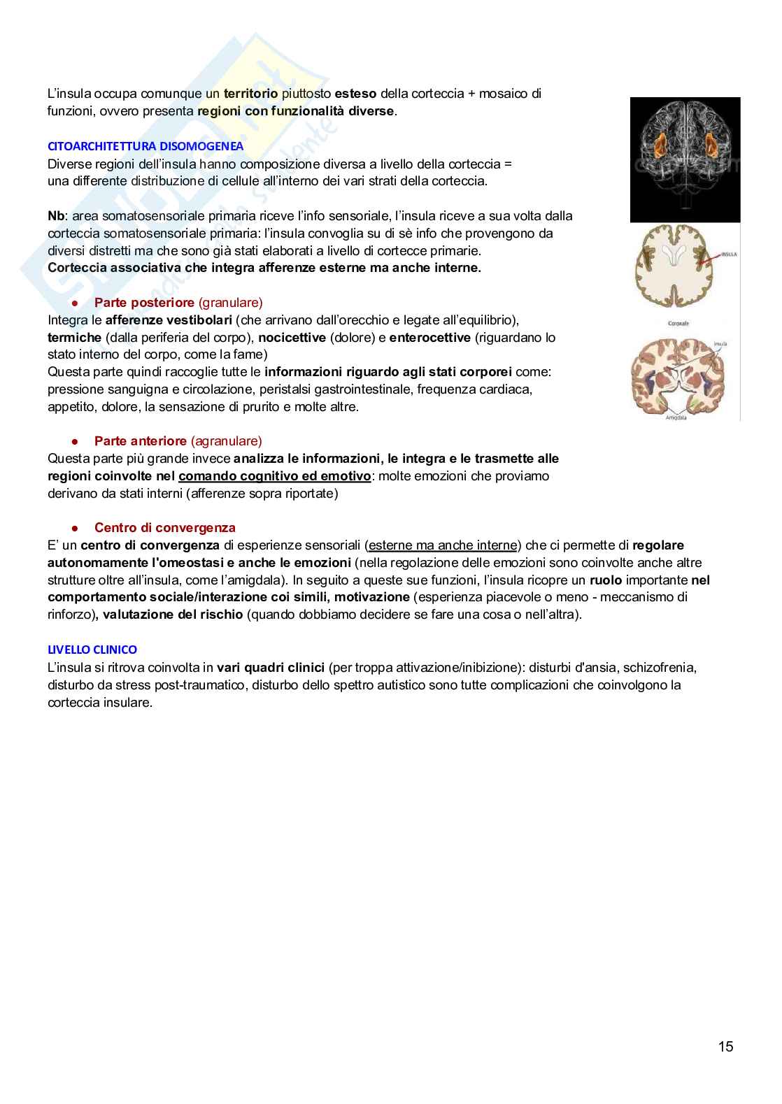 Psicobiologia  Pag. 31