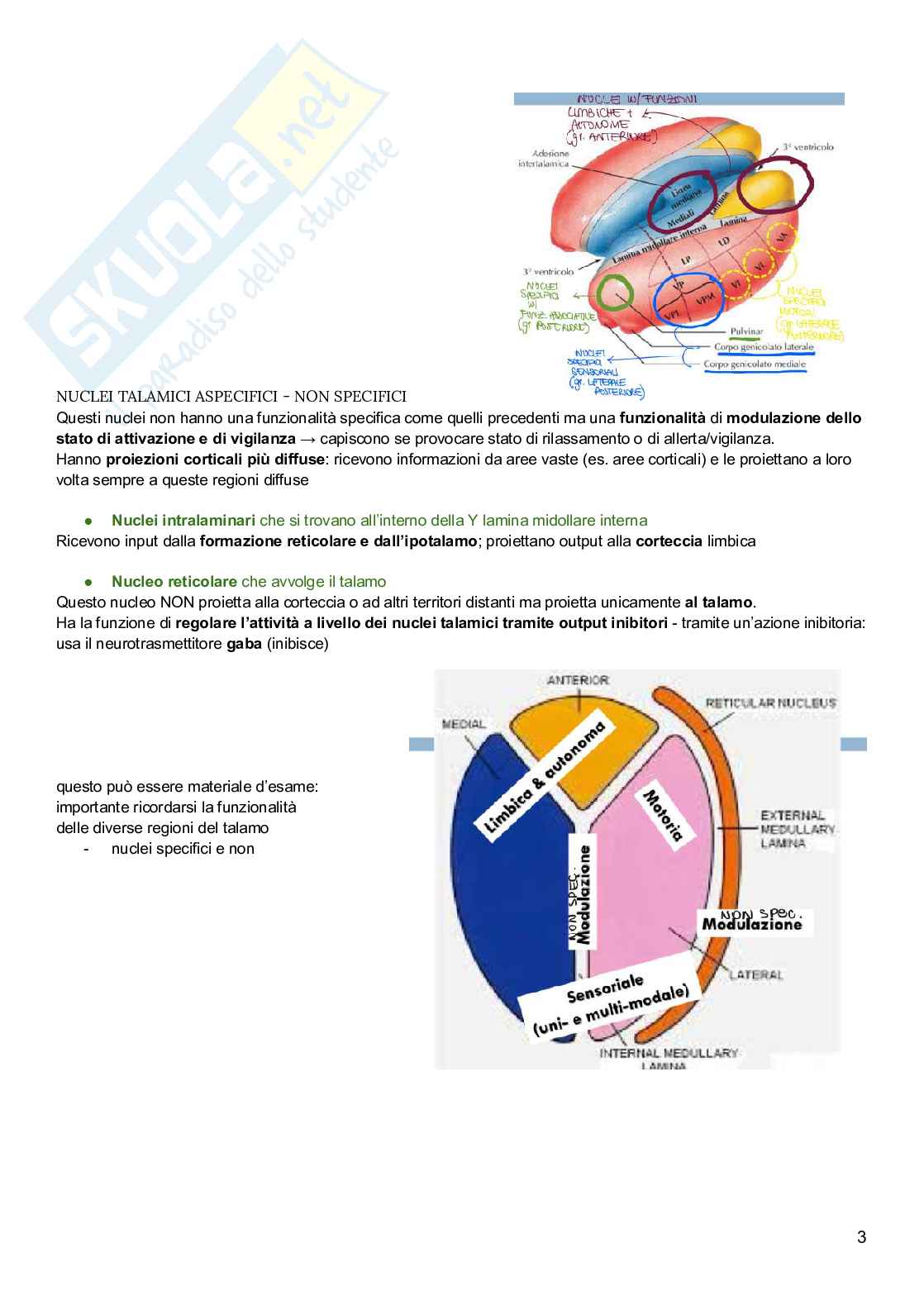 Psicobiologia  Pag. 41