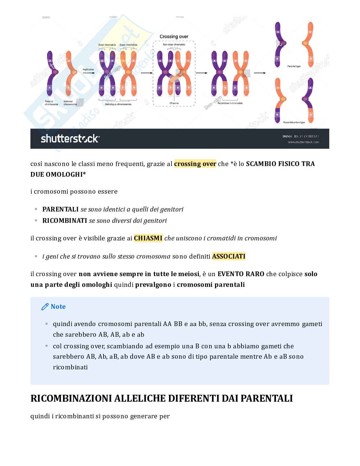 Testo di Genetica completo per esame Pag. 11