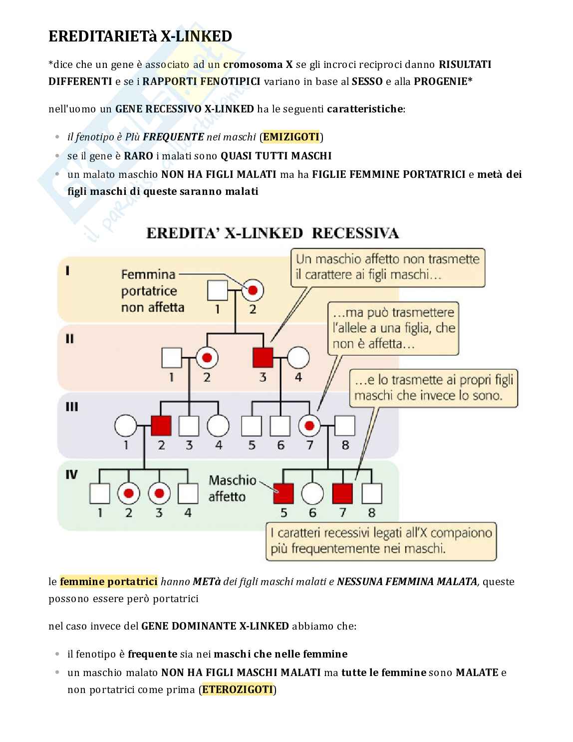 Testo di Genetica completo per esame Pag. 46