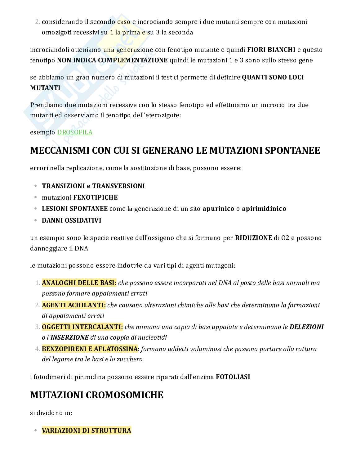 Testo di Genetica completo per esame Pag. 71