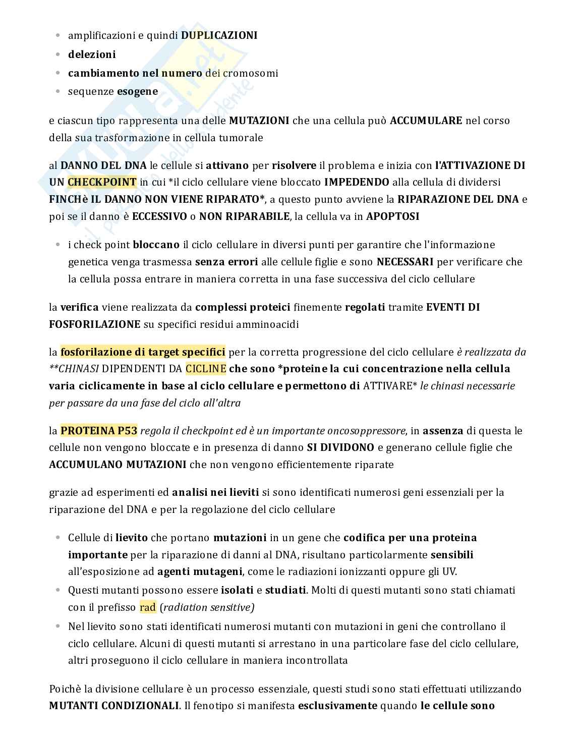 Testo di Genetica completo per esame Pag. 76