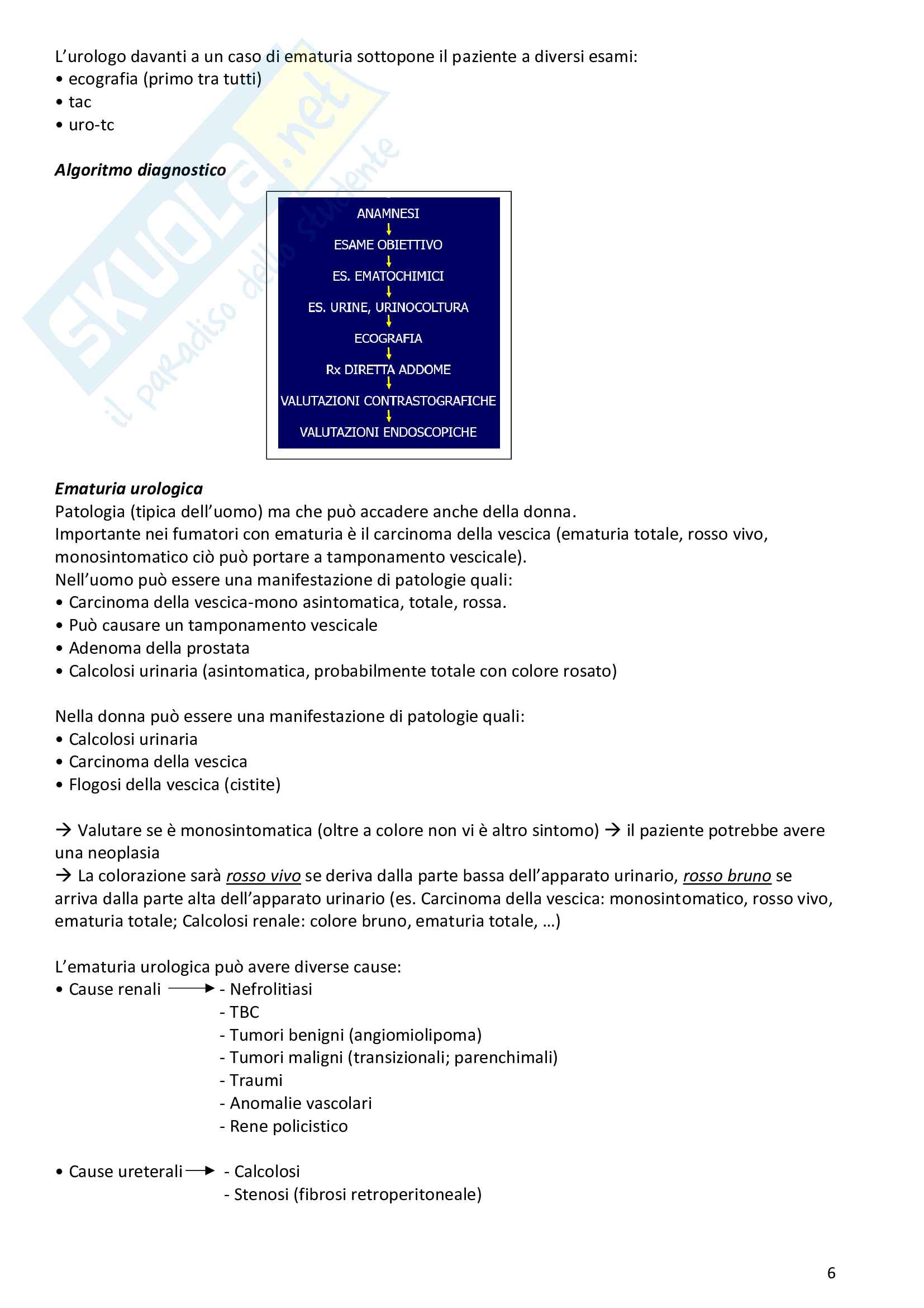 Urologia - Infermieristica clinica in chirurgia specialistica Pag. 6