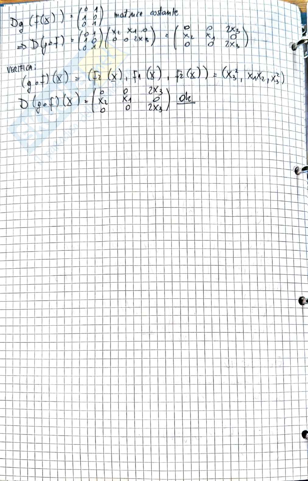 Analisi matematica 2: esercizi svolti su differenziabilità, gradiente e regola della catena Pag. 6