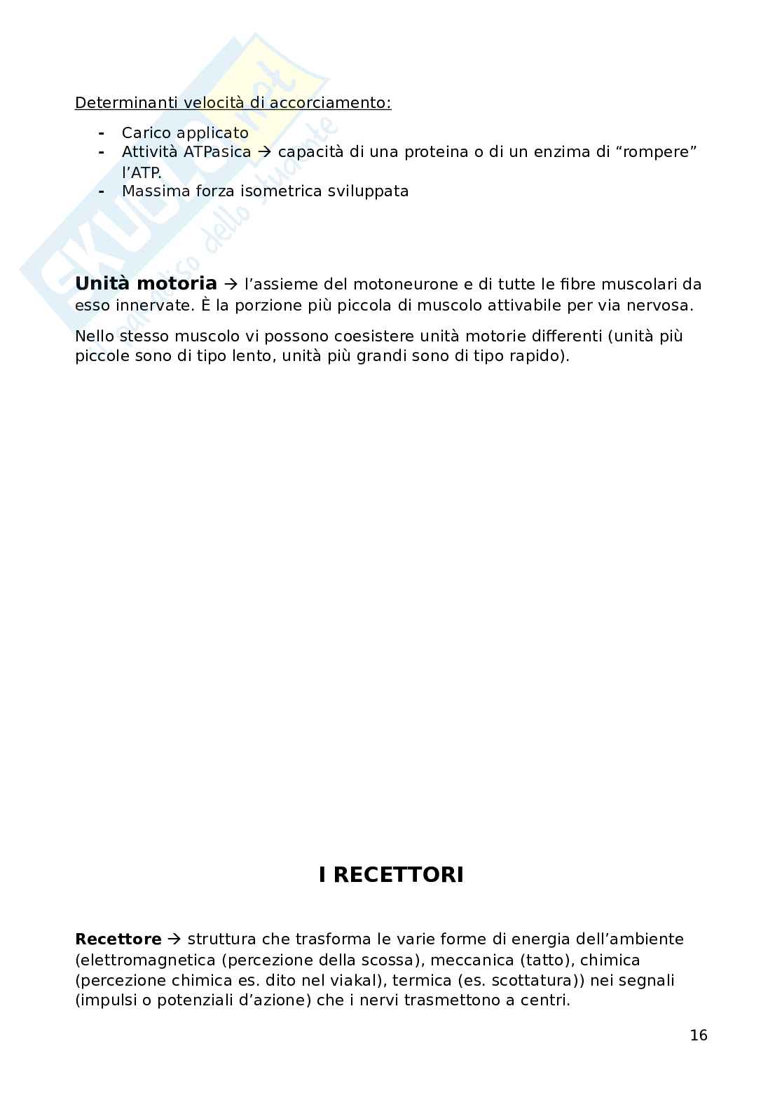 Fisiologia Pag. 16