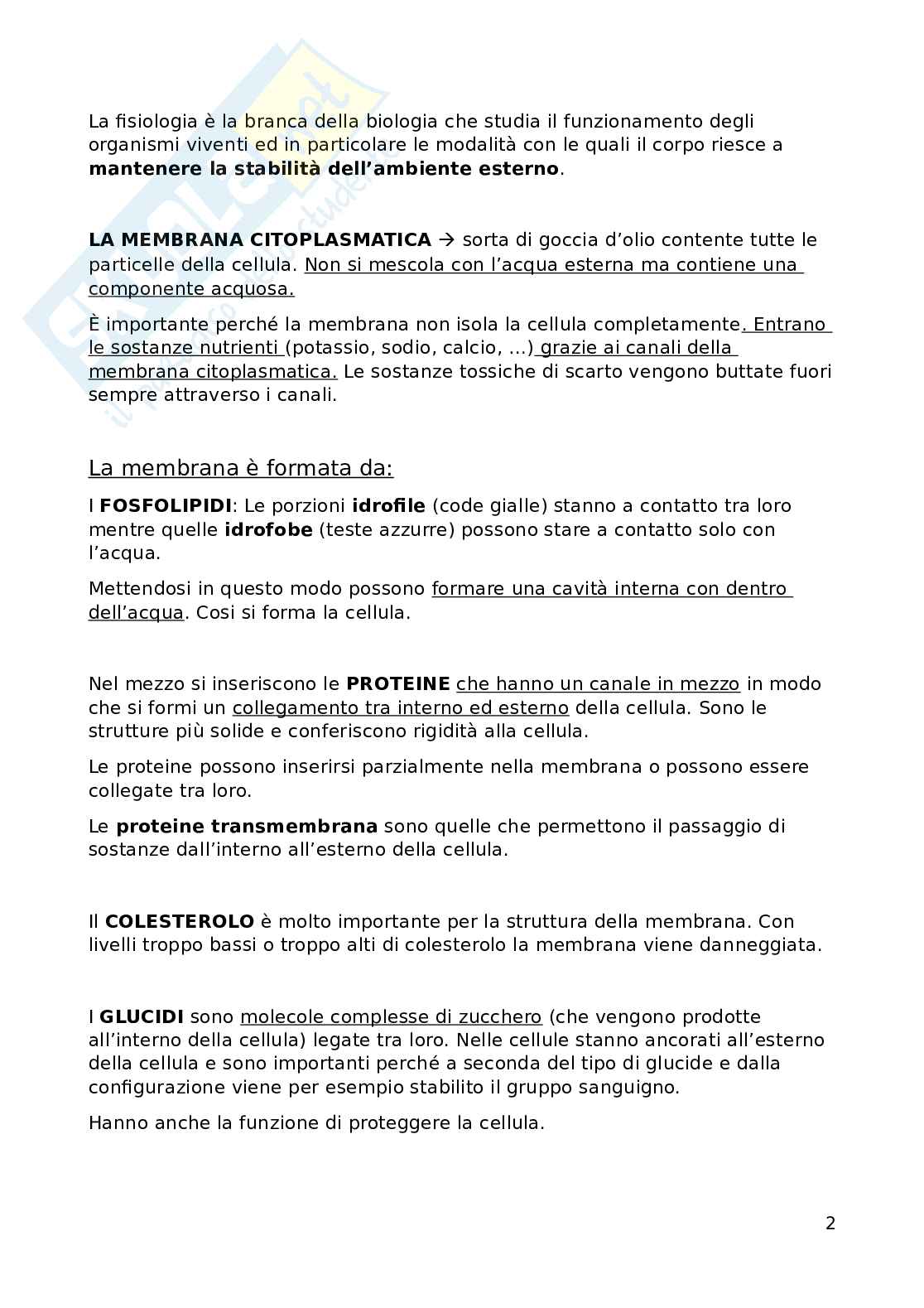 Fisiologia Pag. 2
