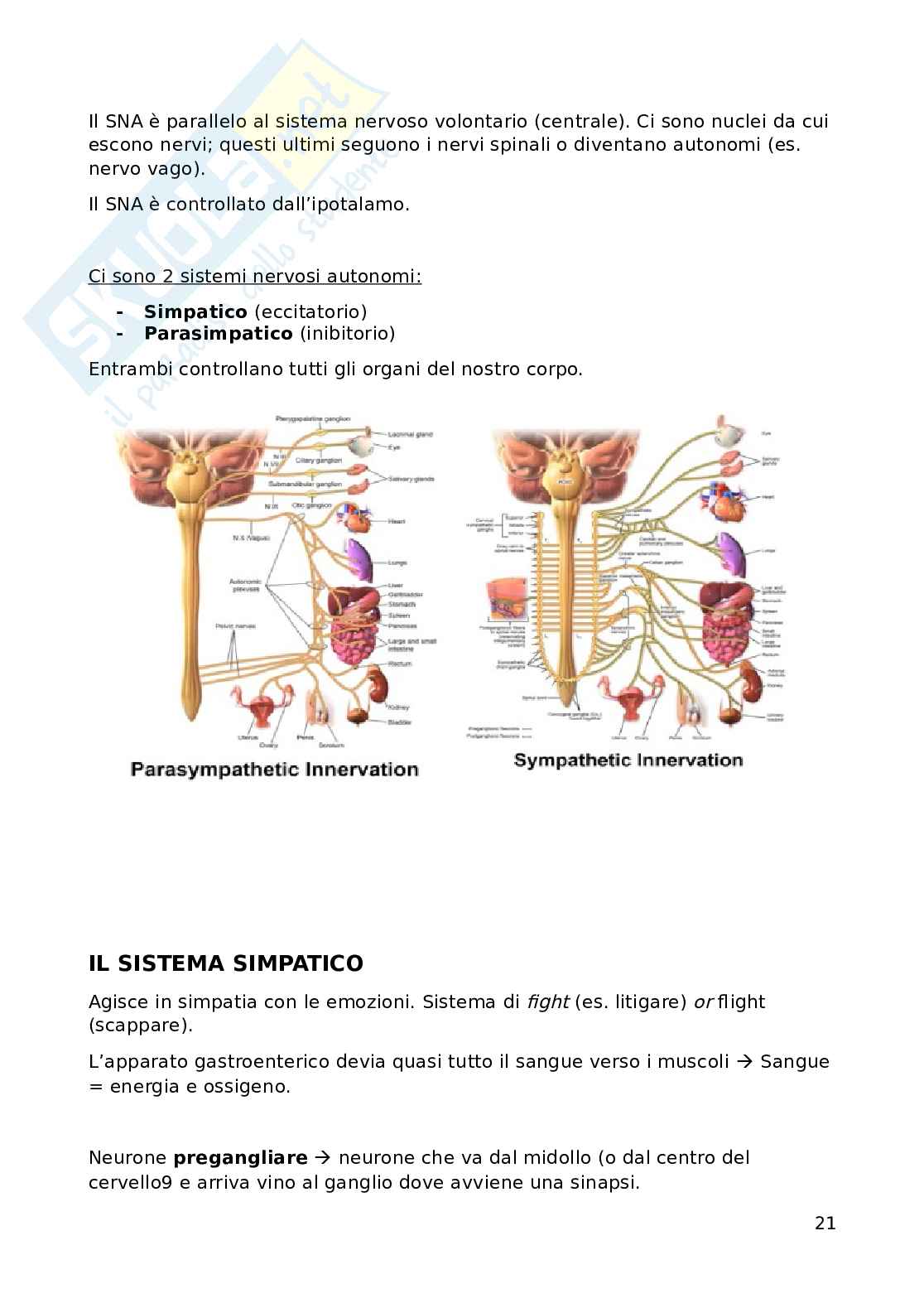 Fisiologia Pag. 21