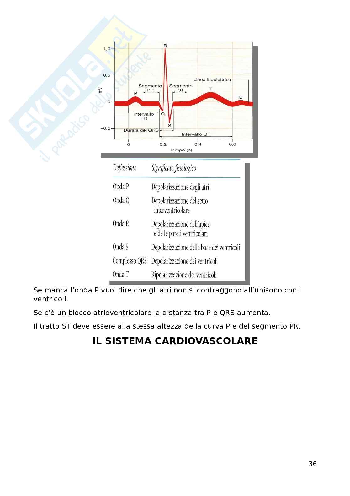 Fisiologia Pag. 36