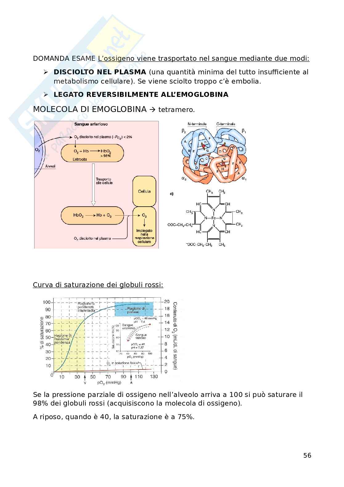 Fisiologia Pag. 56