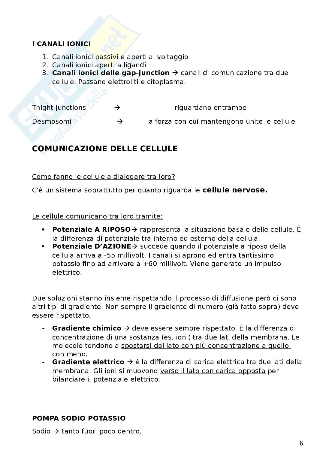 Fisiologia Pag. 6