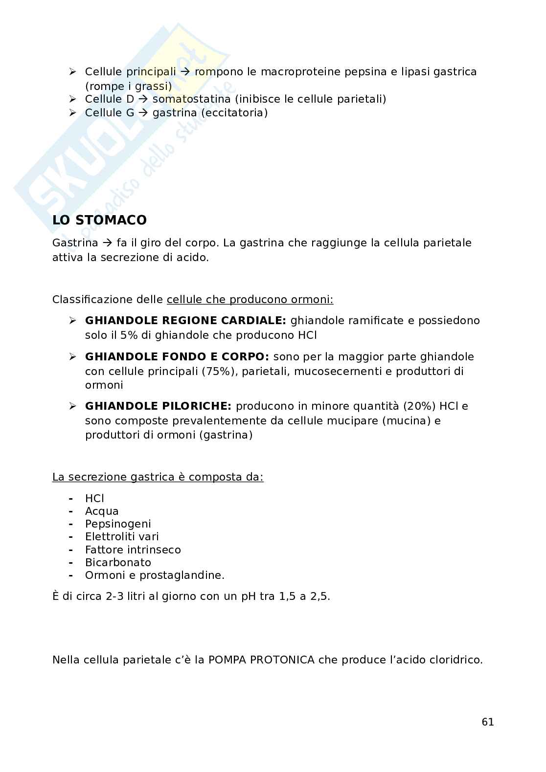 Fisiologia Pag. 61