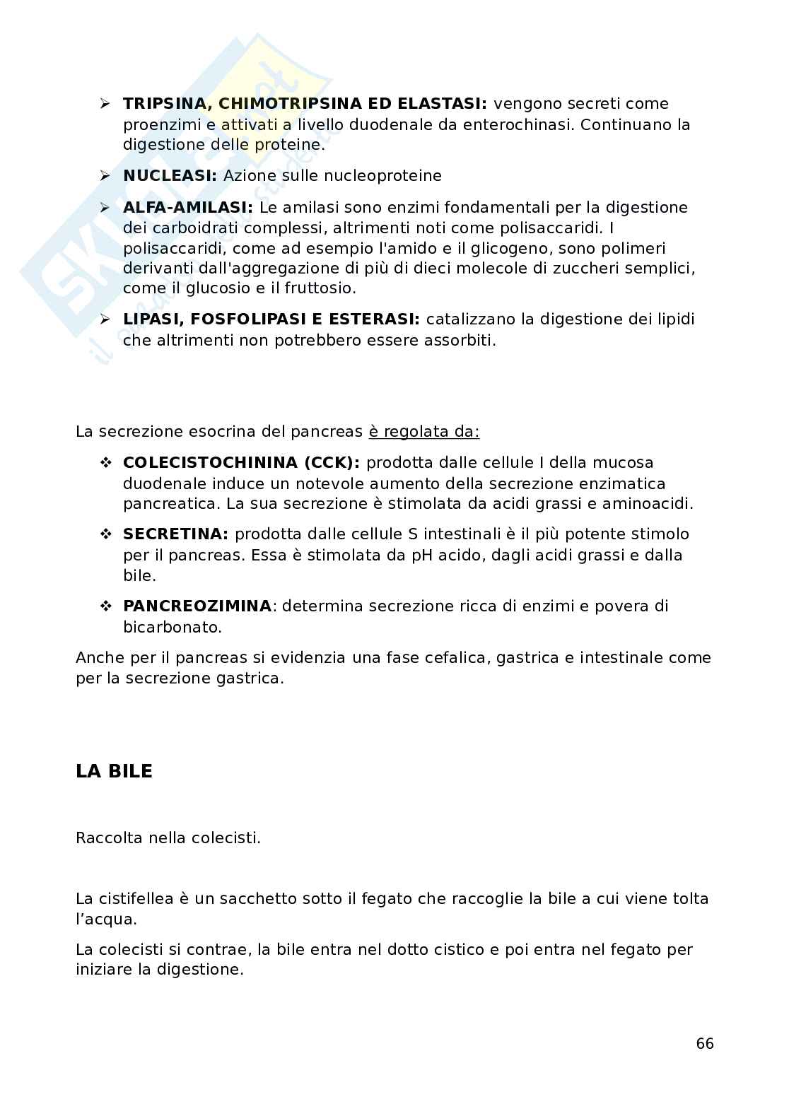 Fisiologia Pag. 66