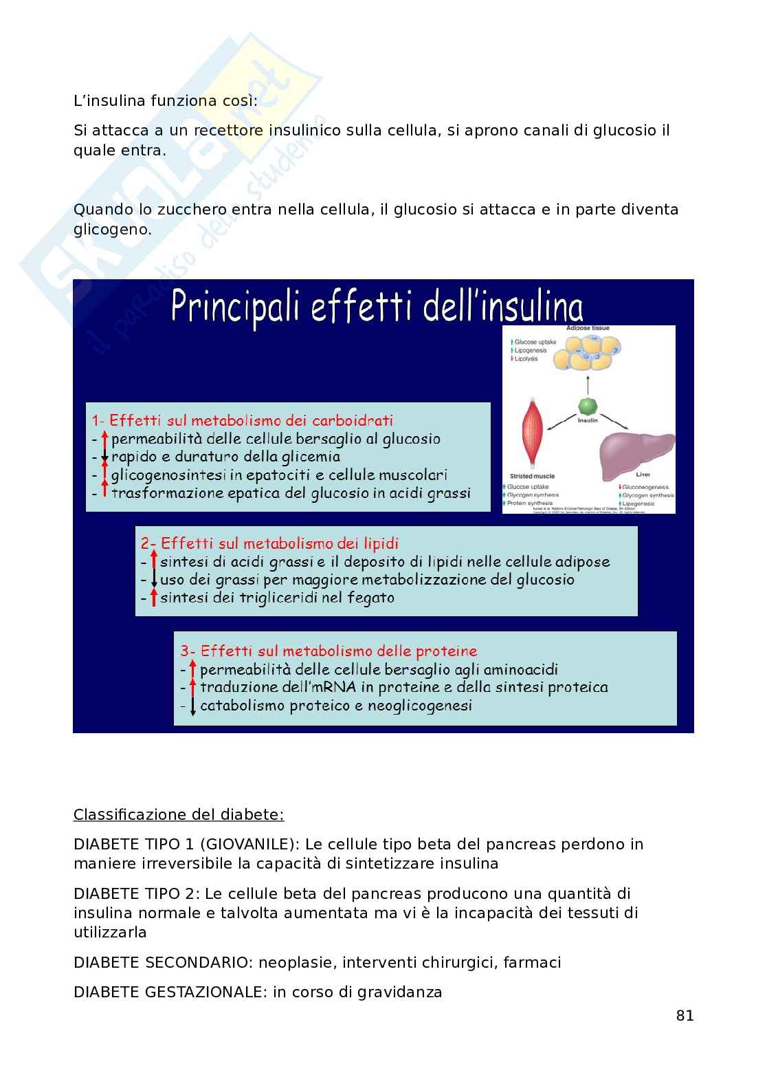 Fisiologia Pag. 81
