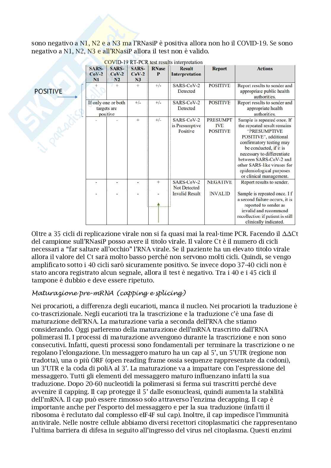 Appunti esame regolazione dell'espressione genica negli eucarioti (REGE) Pag. 26