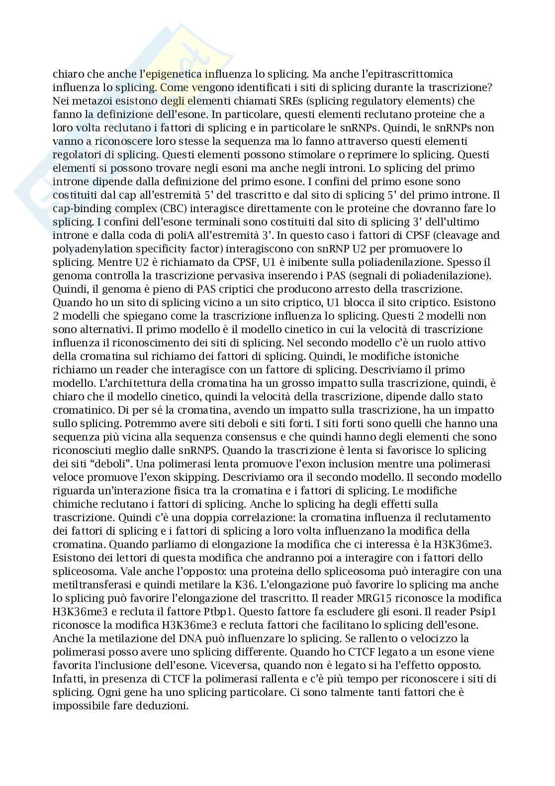 Appunti esame regolazione dell'espressione genica negli eucarioti (REGE) Pag. 31