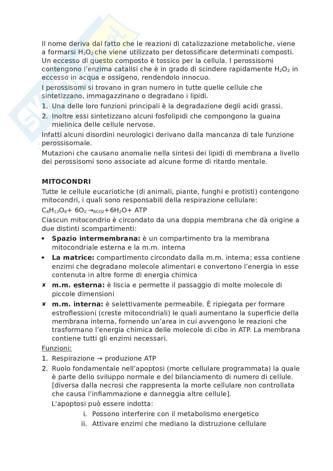Biologia - appunti Pag. 11