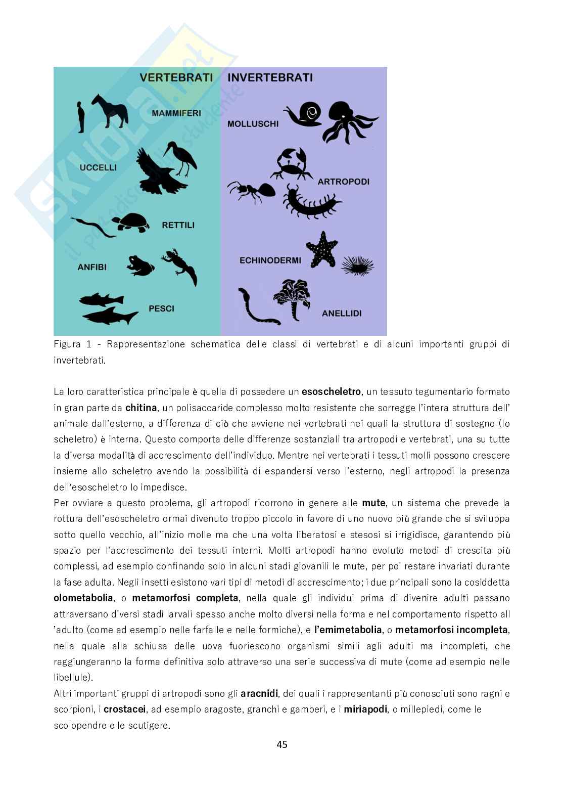 Biologia - Tutto quello da sapere per il test Pag. 46