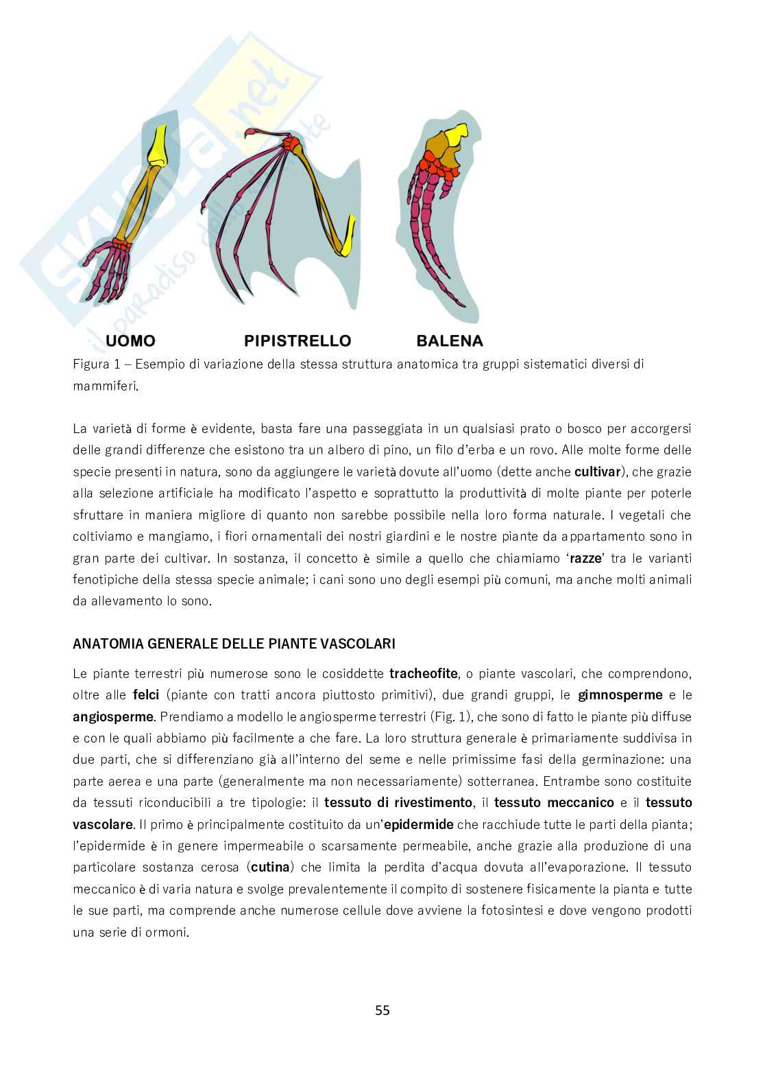 Biologia - Tutto quello da sapere per il test Pag. 56