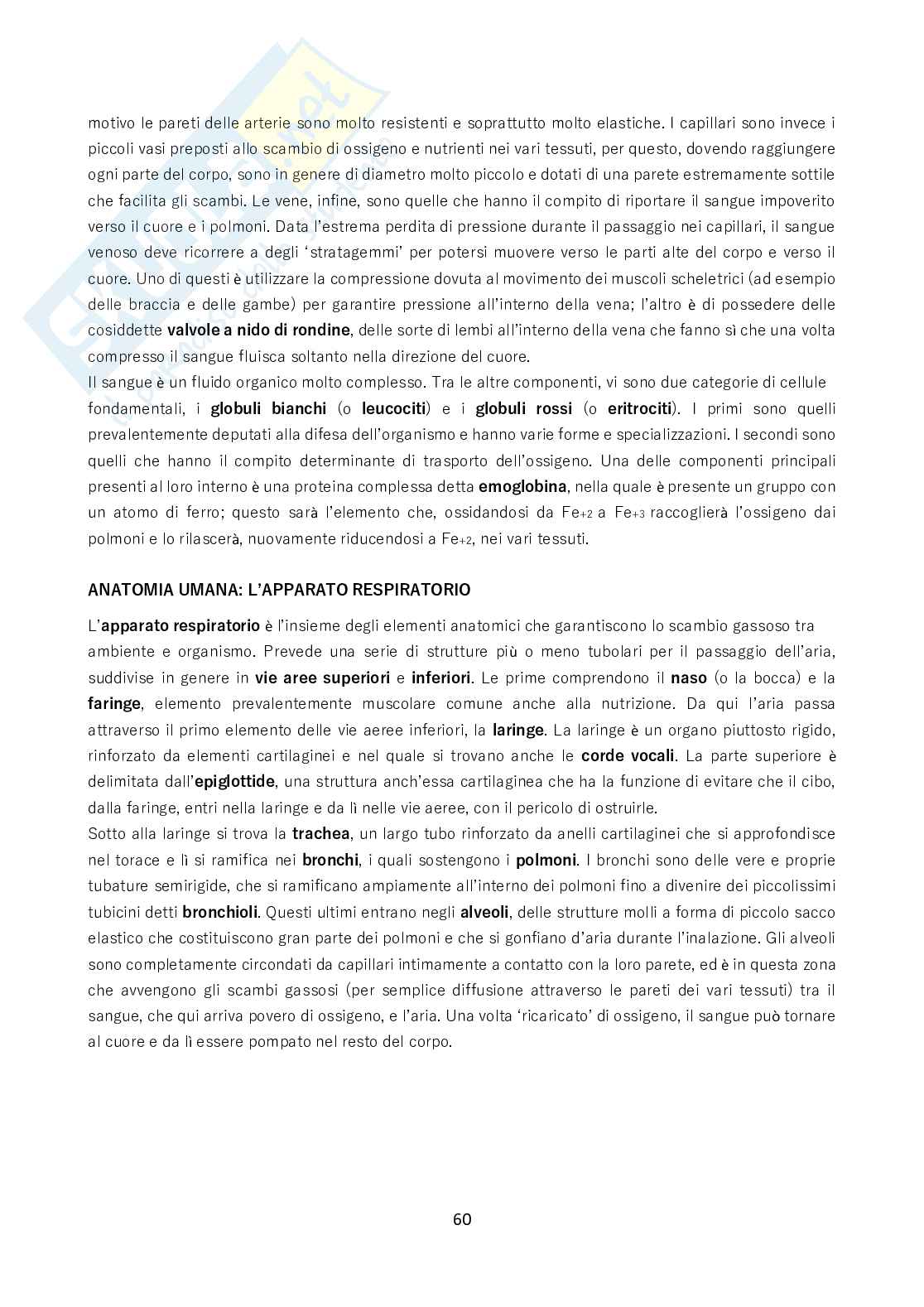 Biologia - Tutto quello da sapere per il test Pag. 61