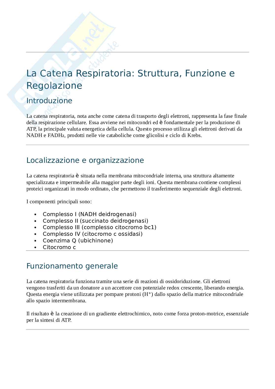 Catena respiratoria  Pag. 1