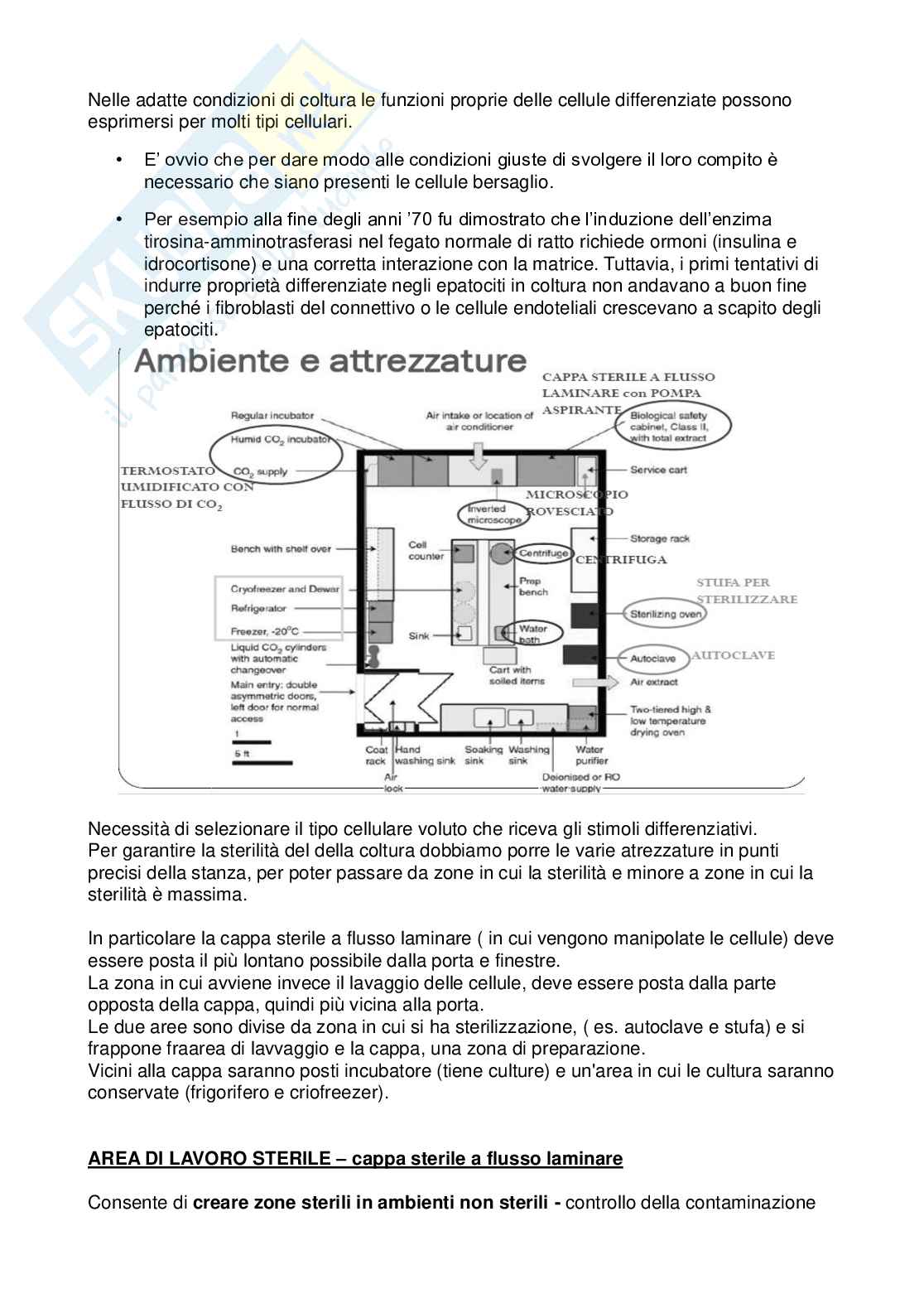 Biologia cellulare con laboratorio - Parte 2 Pag. 21