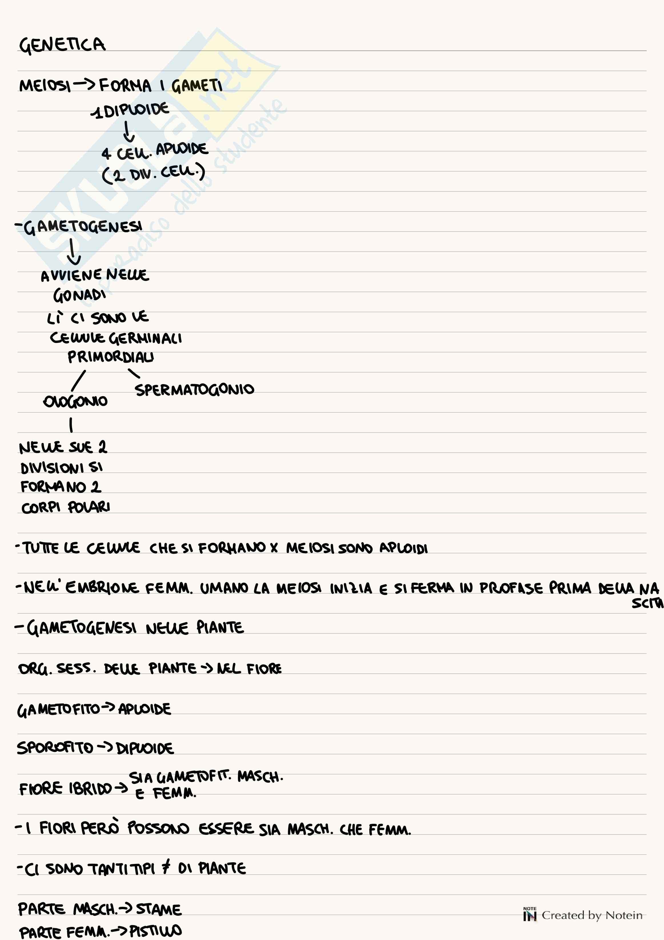 Appunti di Biologia e genetica Pag. 1