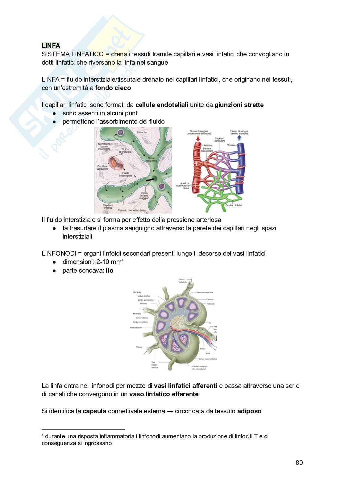 Appunti di Istologia Pag. 81
