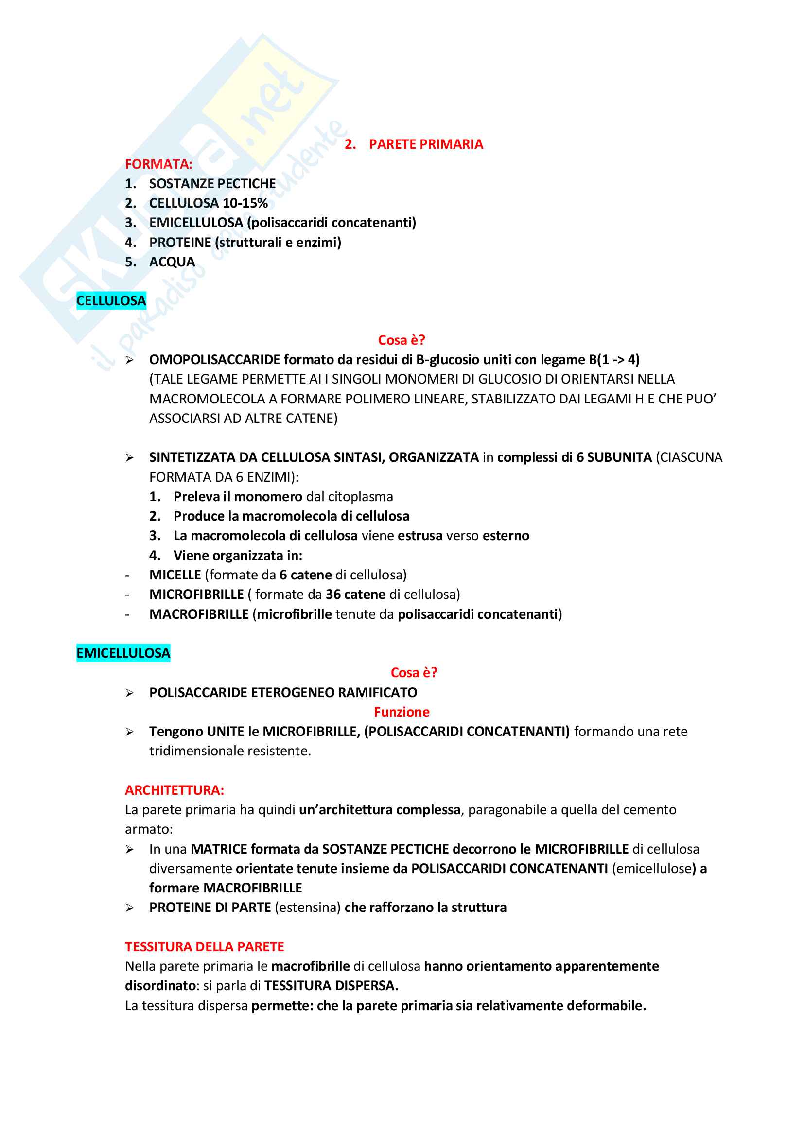 Produzioni Vegetali (Teoria completa Secondo parziale) Pag. 6