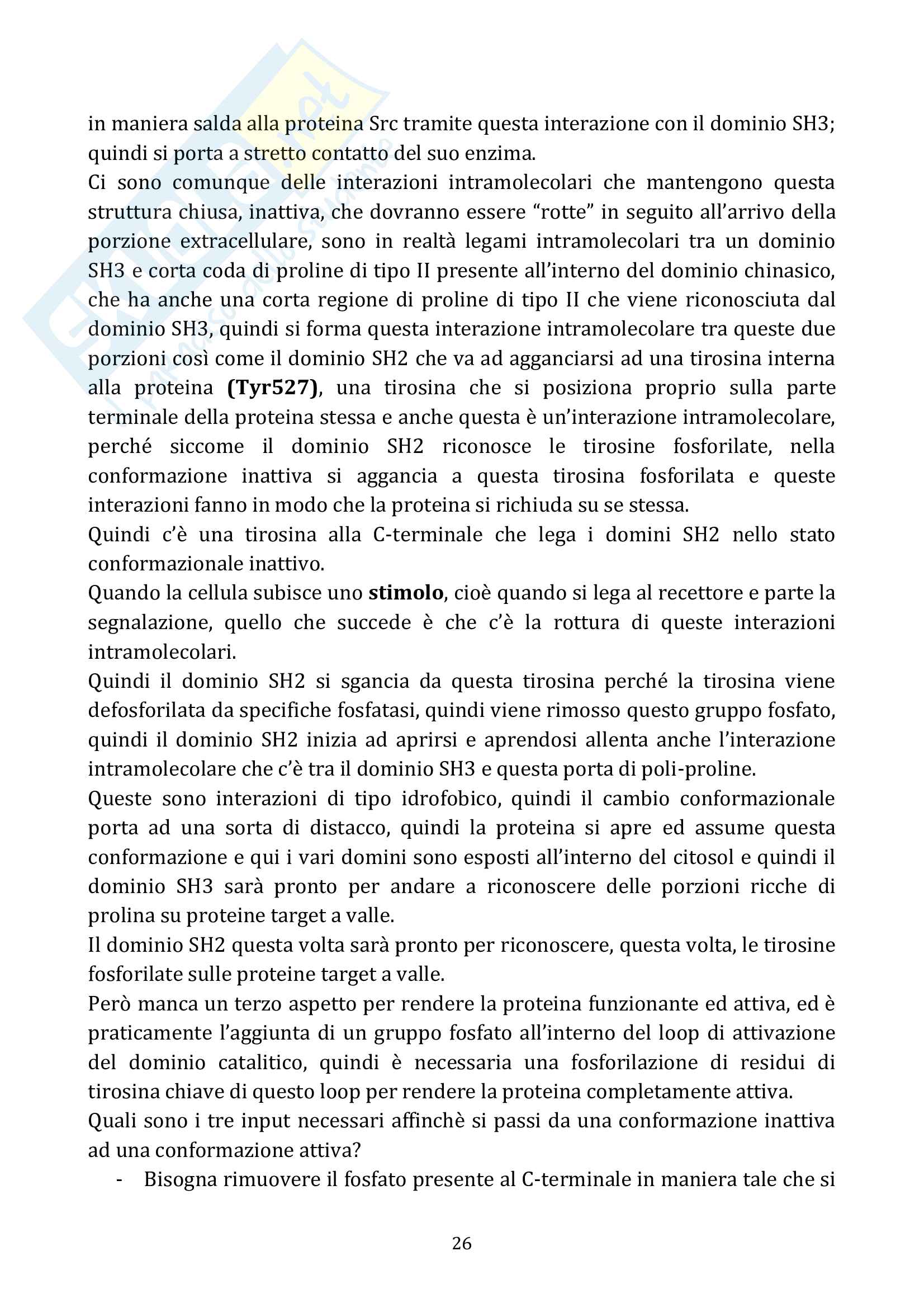 Biologia molecolare II Pag. 26