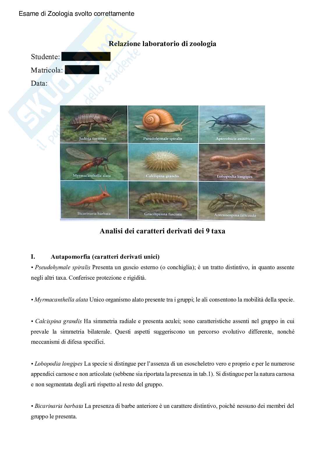 Relazione Zoologia   Pag. 1