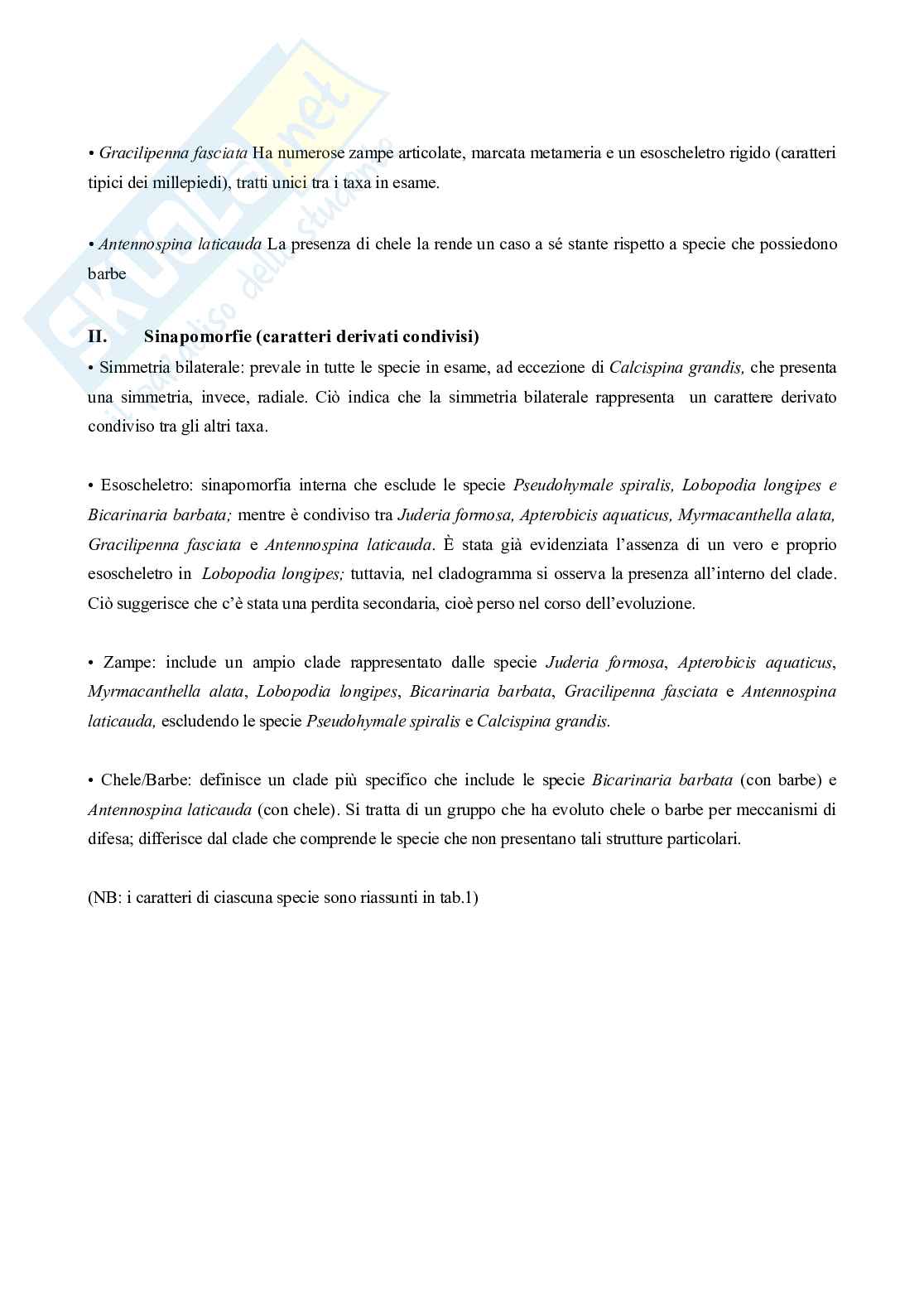 Relazione Zoologia   Pag. 2