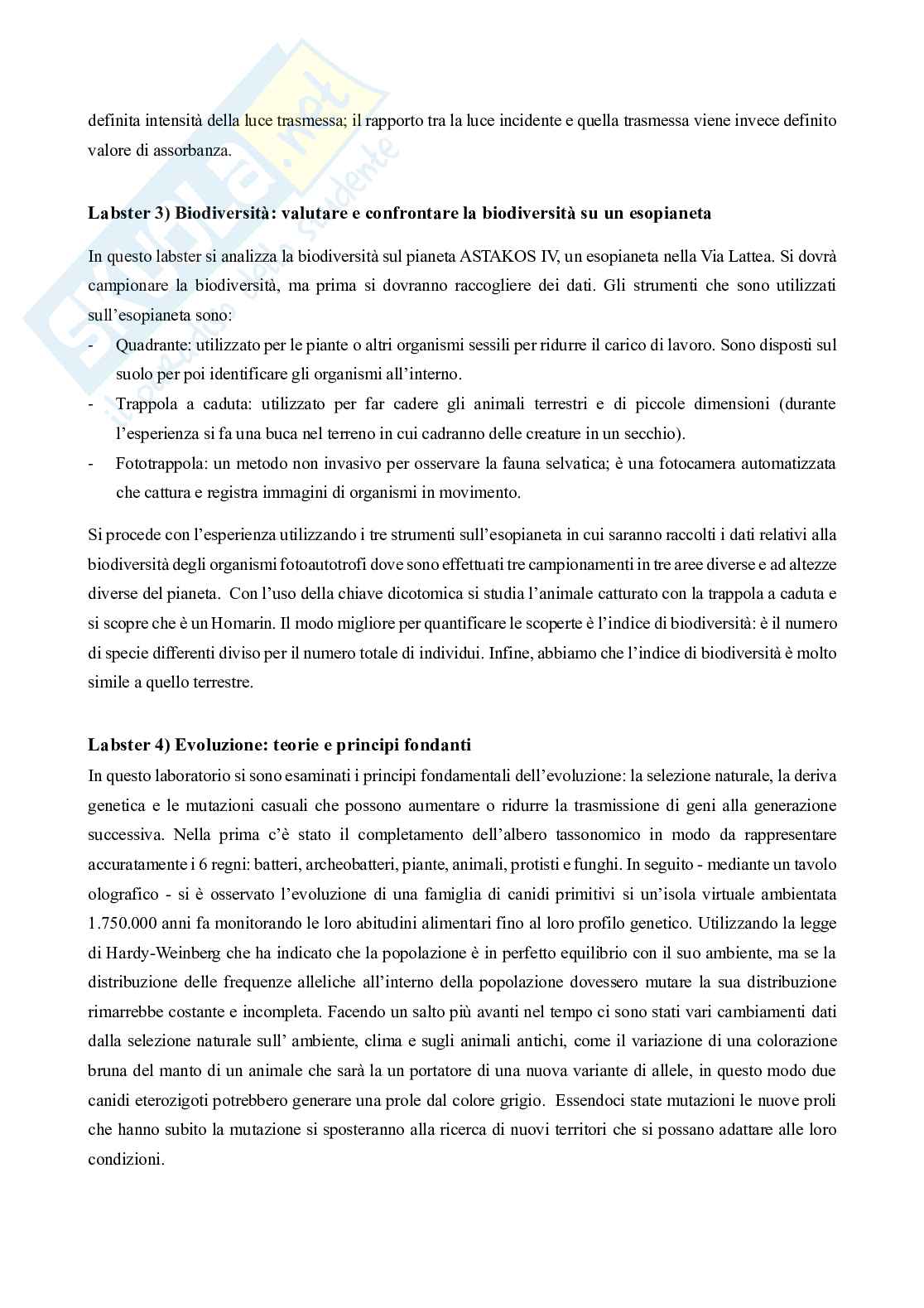 Relazione Zoologia   Pag. 6