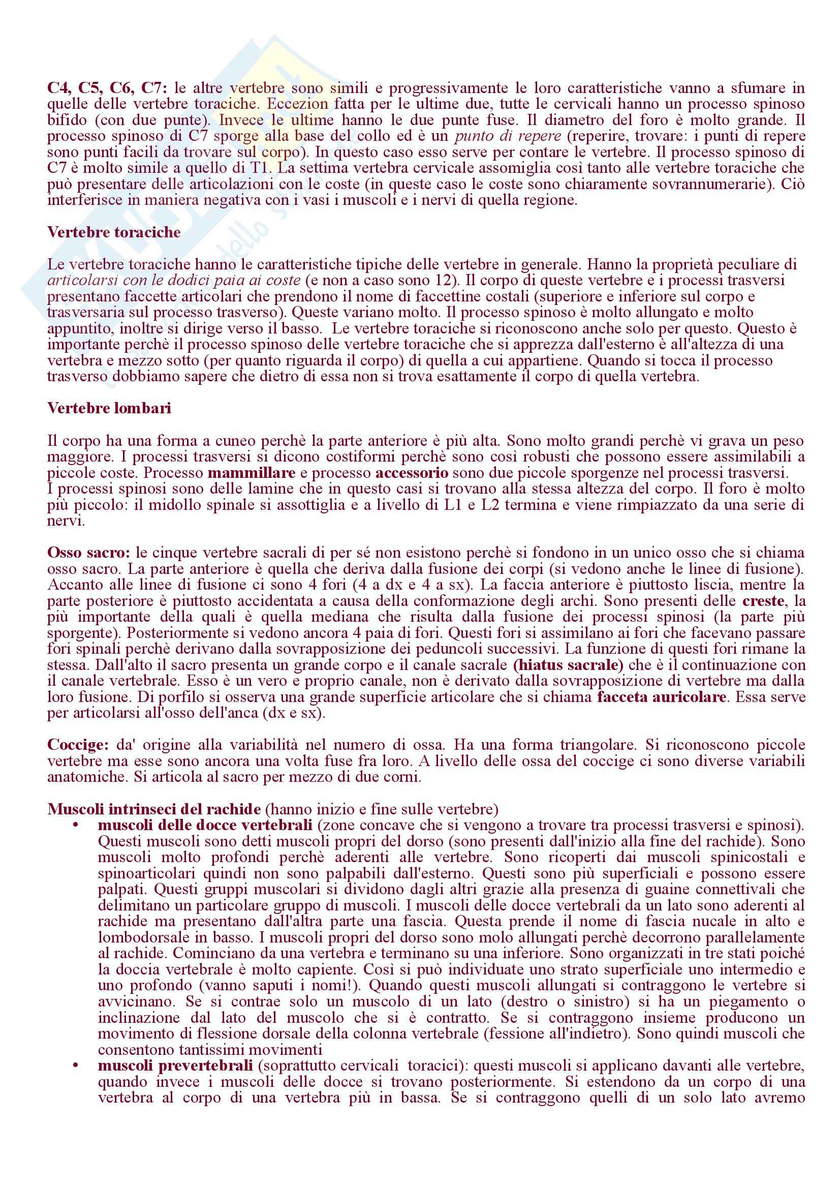 Lezioni: Appunti di Anatomia I Pag. 11