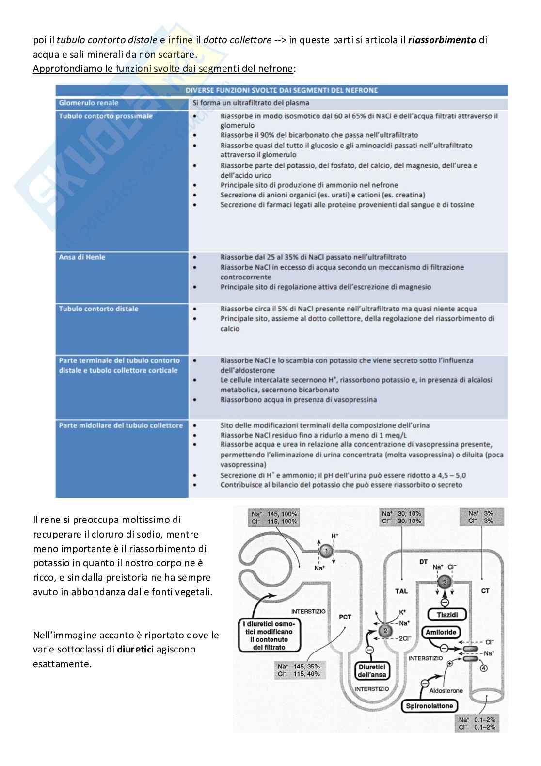 Farmacologia cardiovasculare Pag. 31