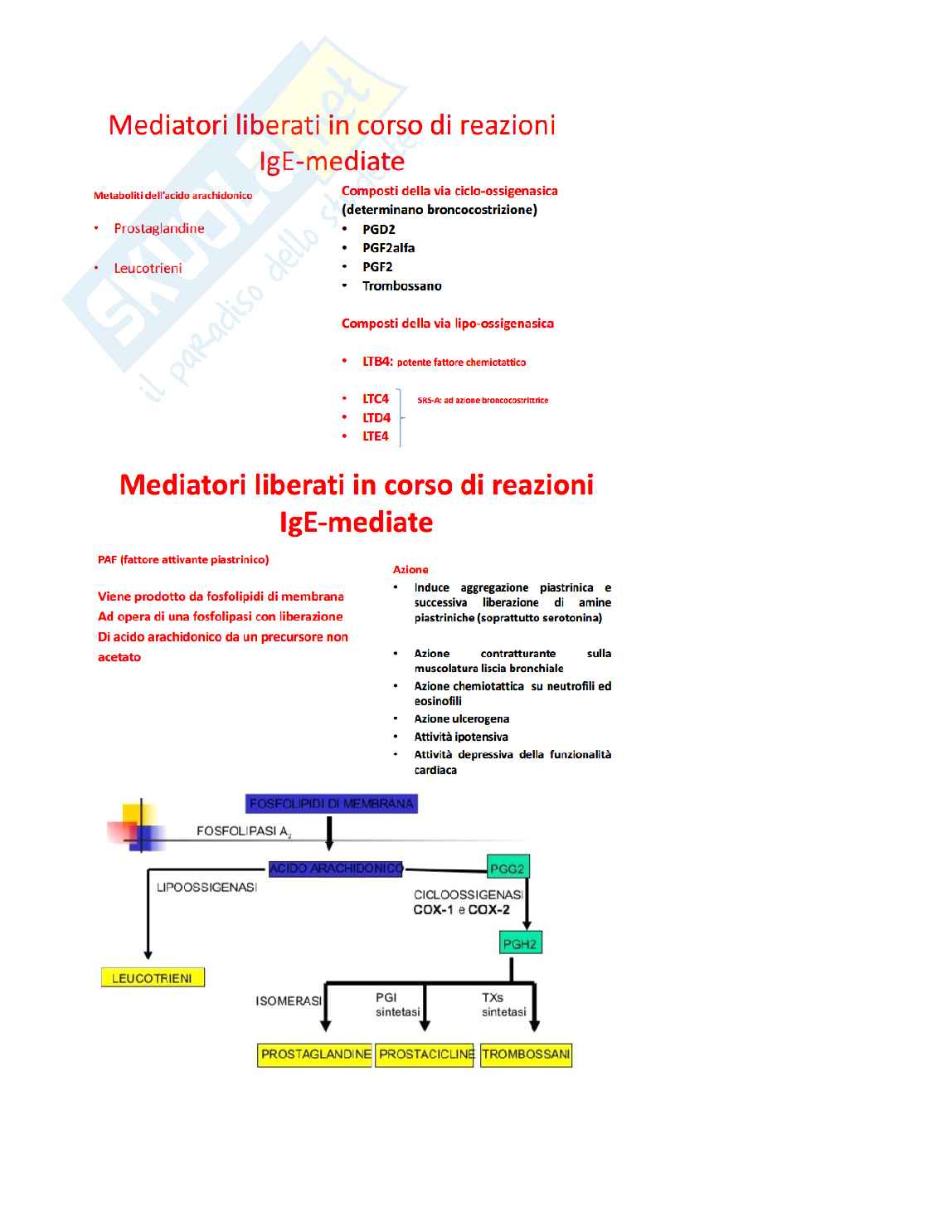 Allergologia Pag. 11