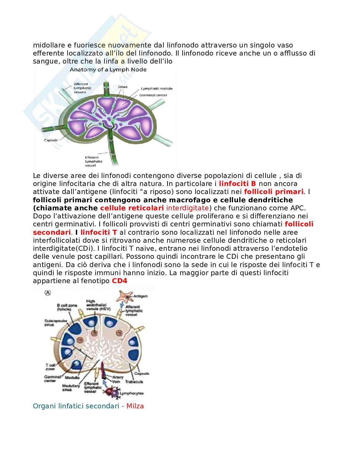Allergologia Pag. 26