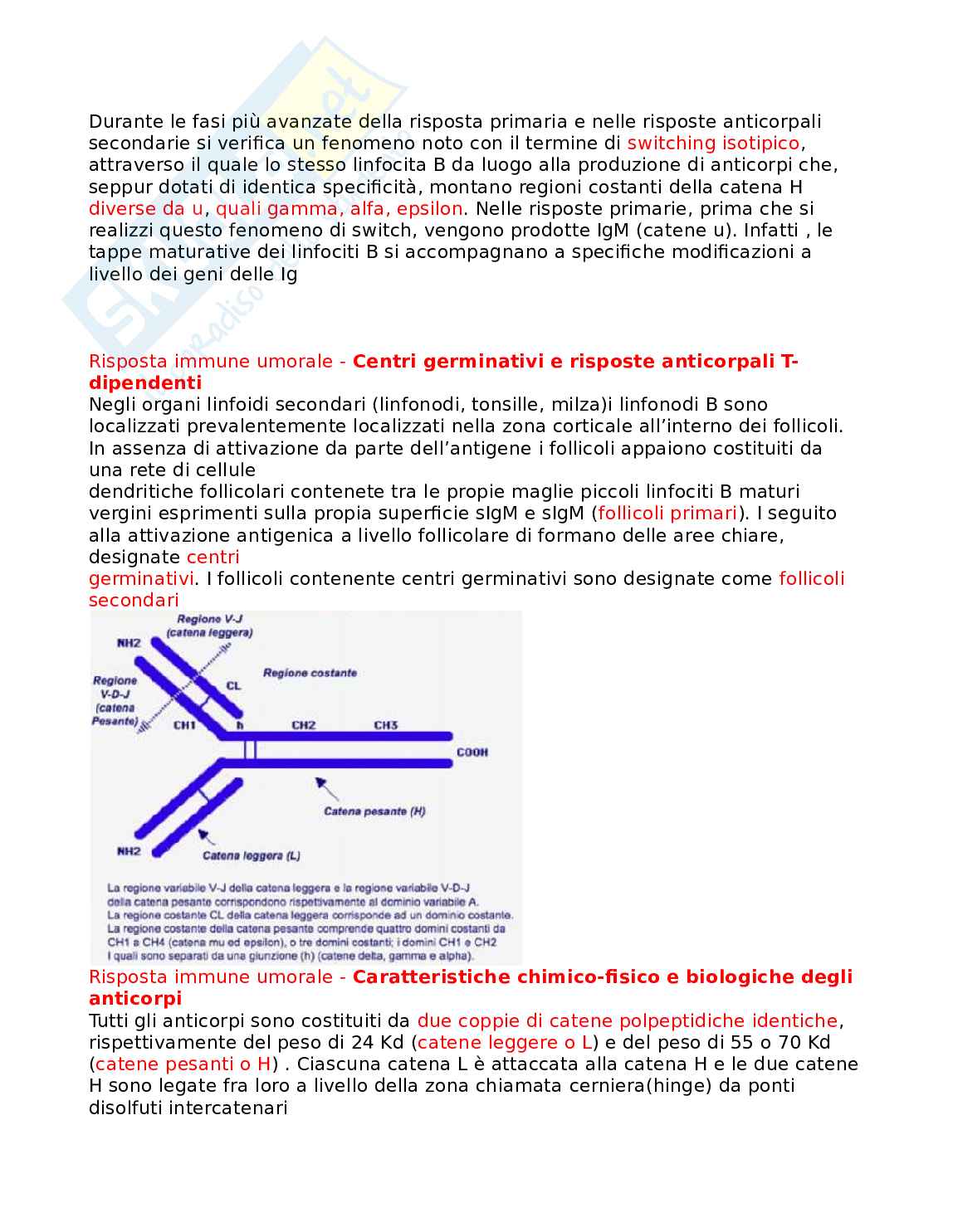 Allergologia Pag. 36