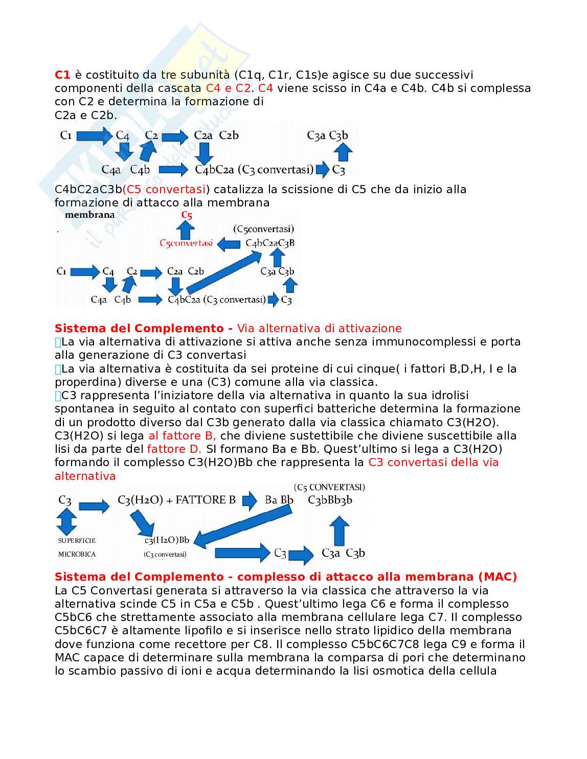 Allergologia Pag. 41