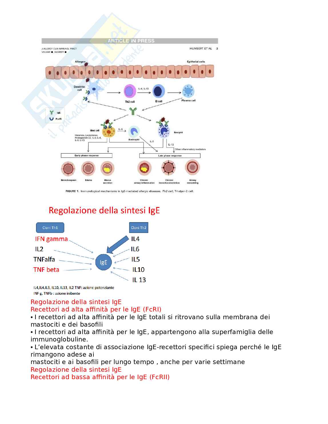 Allergologia Pag. 6