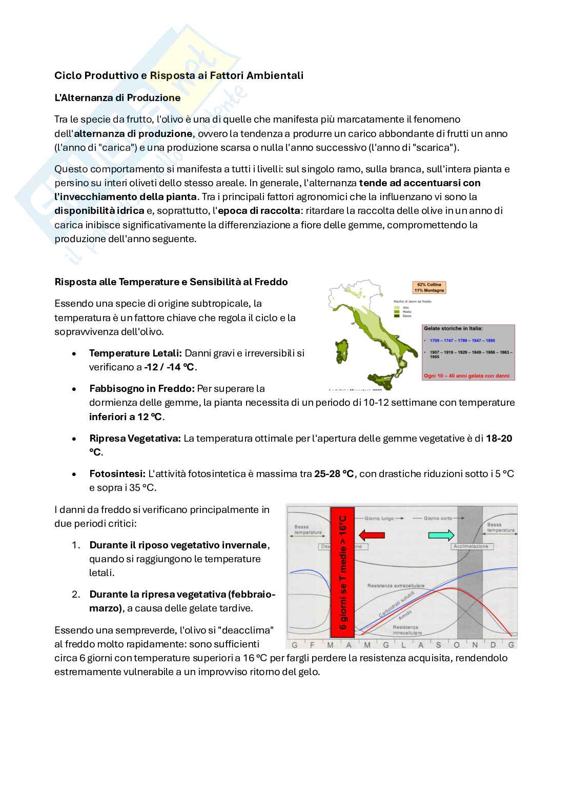 Appunti 3' Olivicoltura  Pag. 6