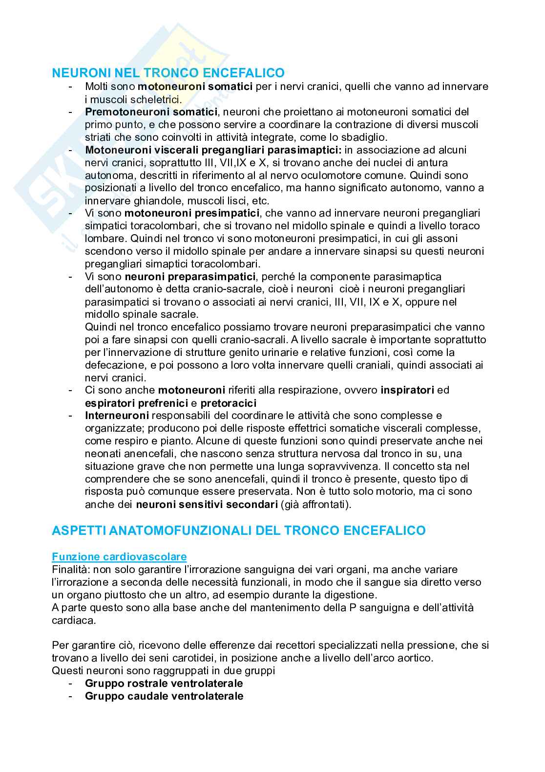 Tronco encefalico, nuclei propri e nuclei nervi cranici Pag. 36