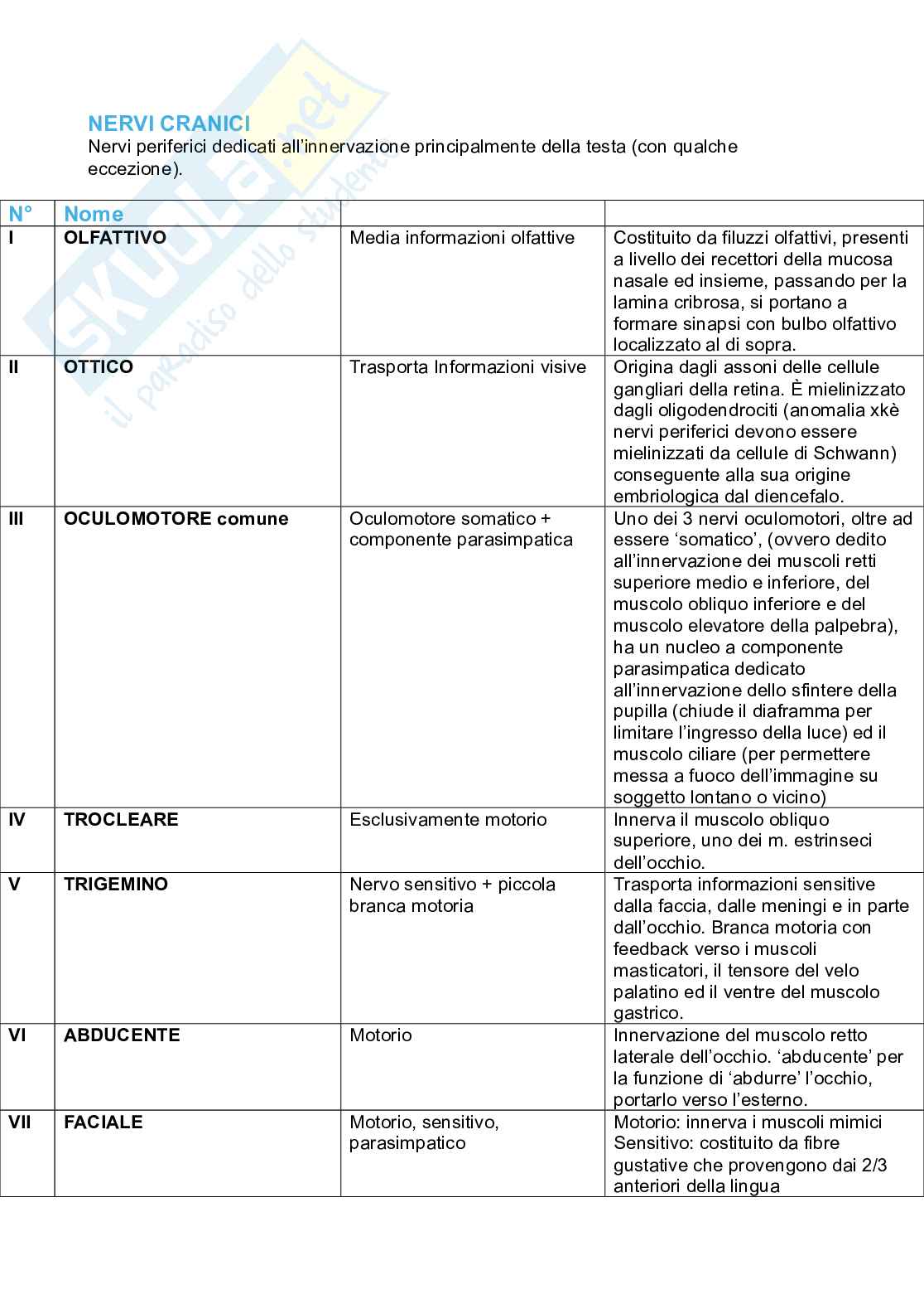 Tronco encefalico, nuclei propri e nuclei nervi cranici Pag. 6
