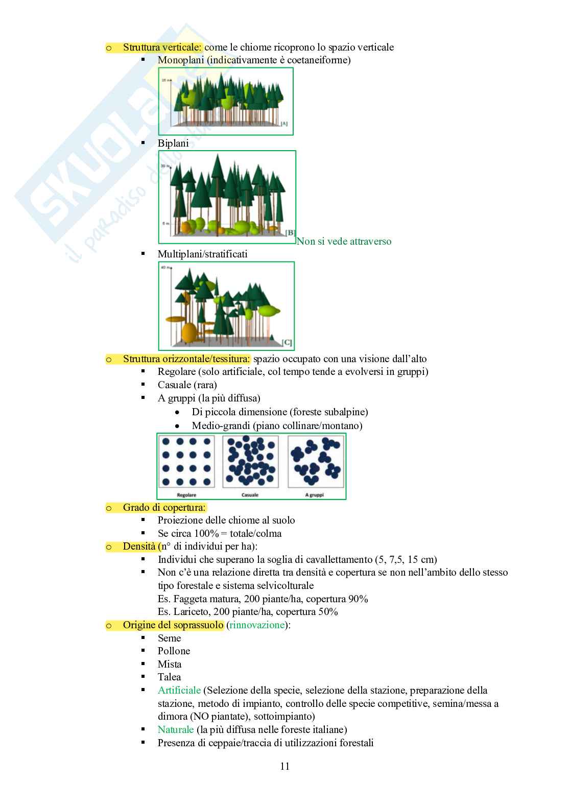 Selvicoltura generale Pag. 11