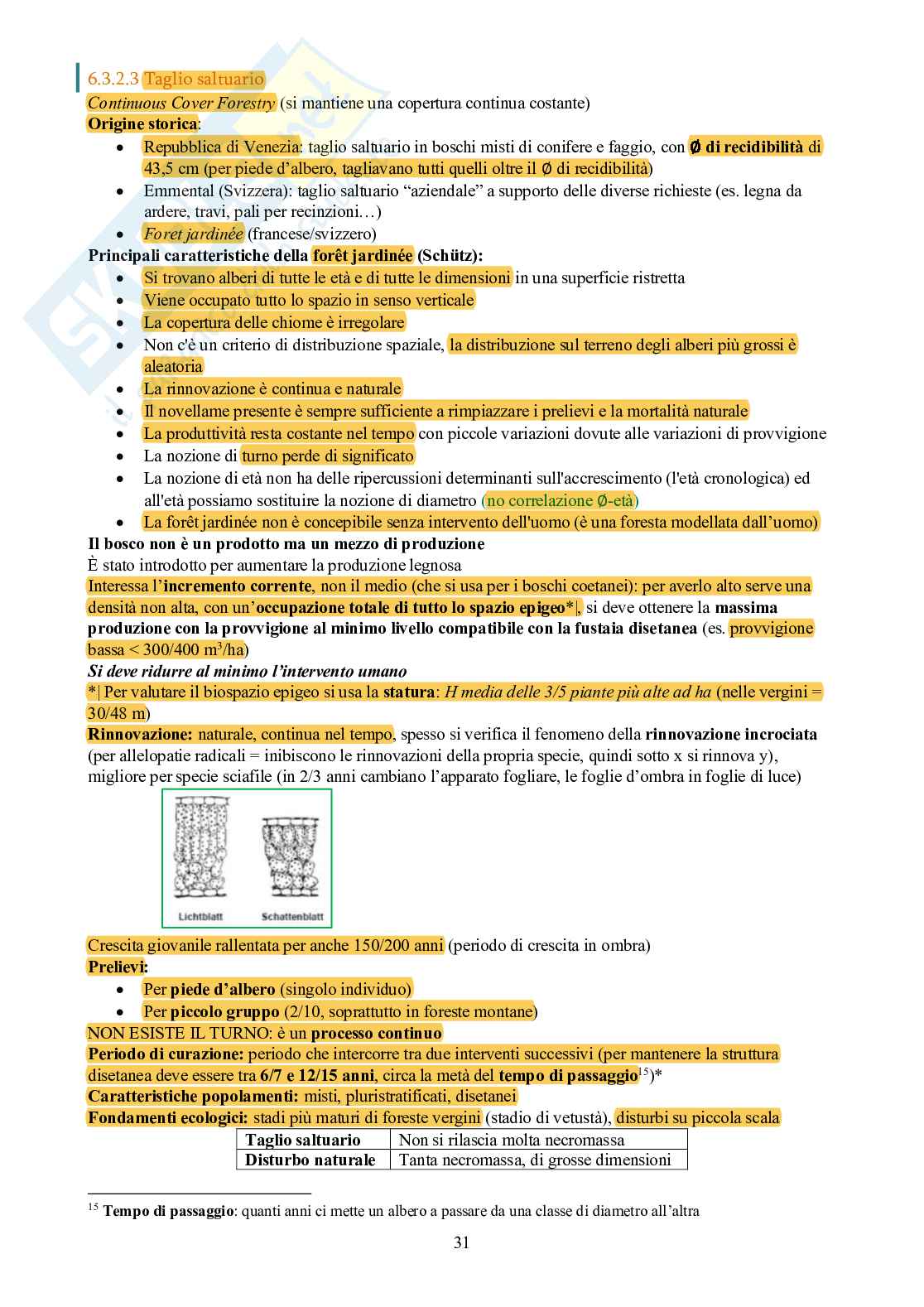 Selvicoltura generale Pag. 31
