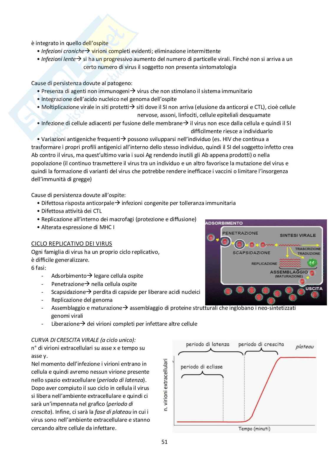 Batteriologia e virologia veterinaria - Appunti Pag. 51
