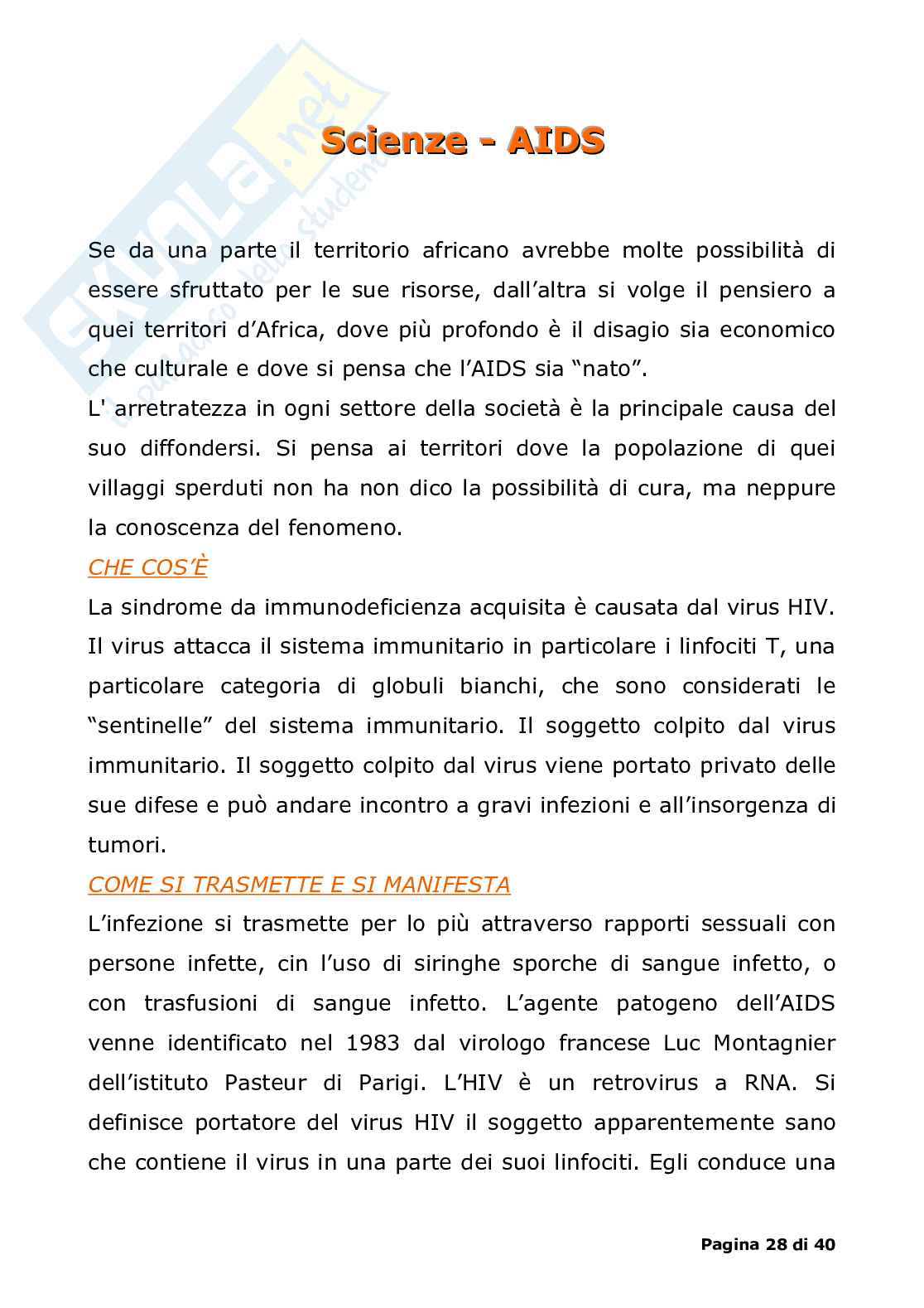 Africa: tesina esame terza media Pag. 36