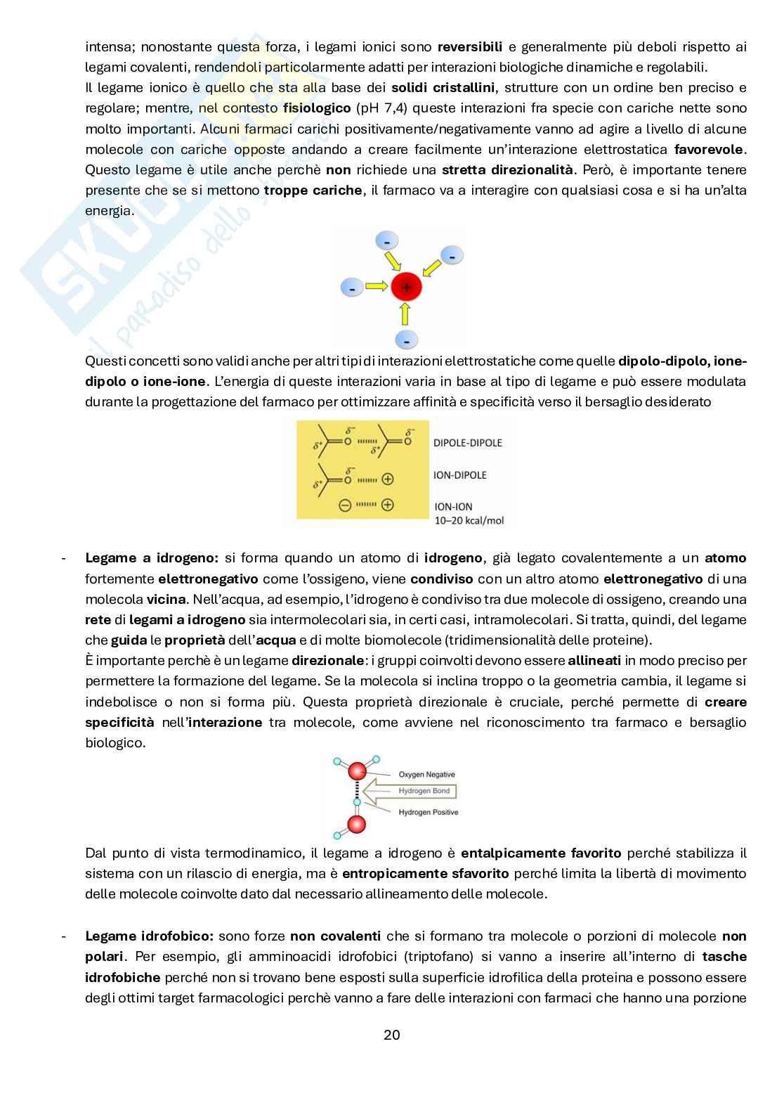 Chimica farmaceutica e tossicologica 1 Pag. 21