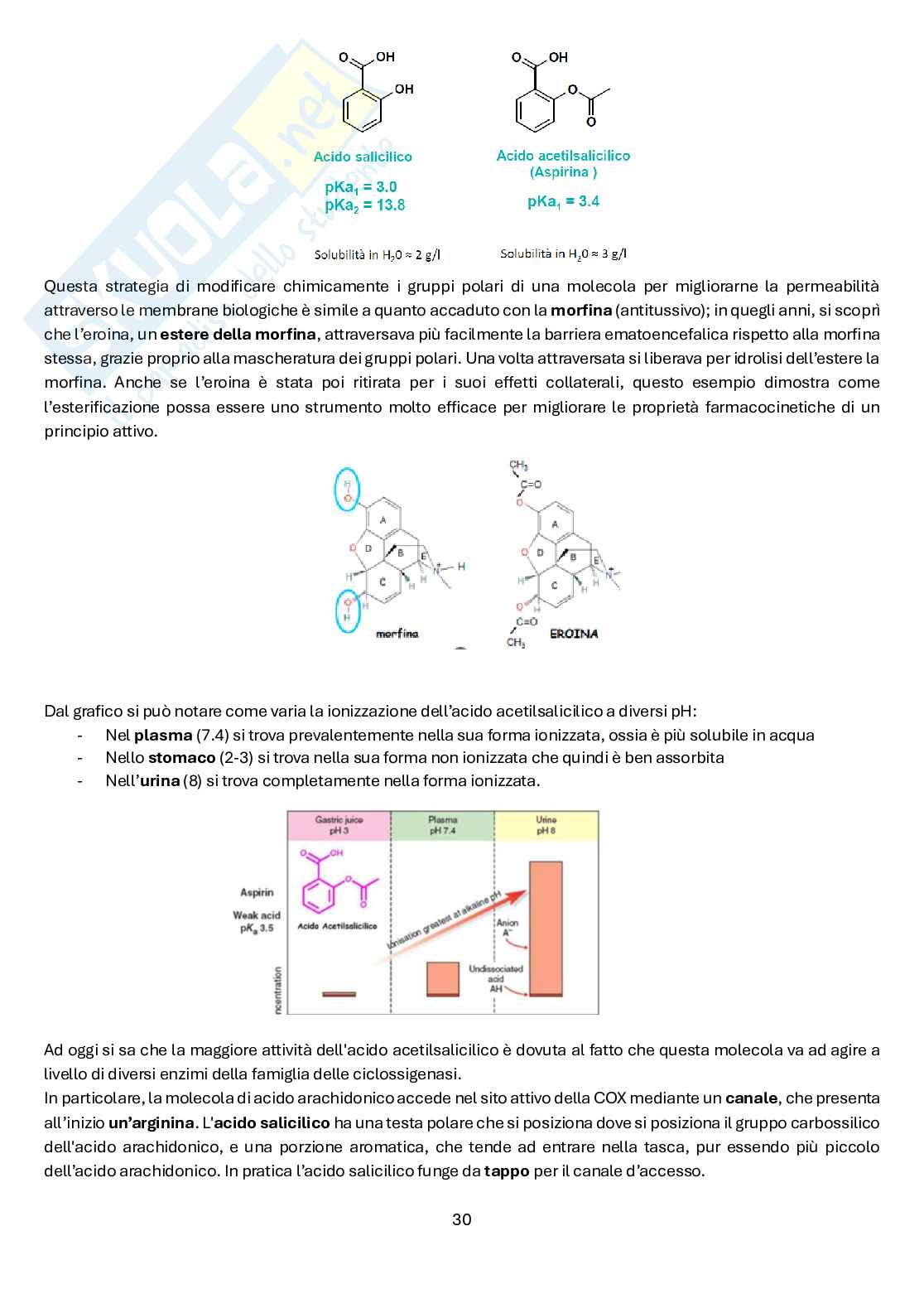 Chimica farmaceutica e tossicologica 1 Pag. 31