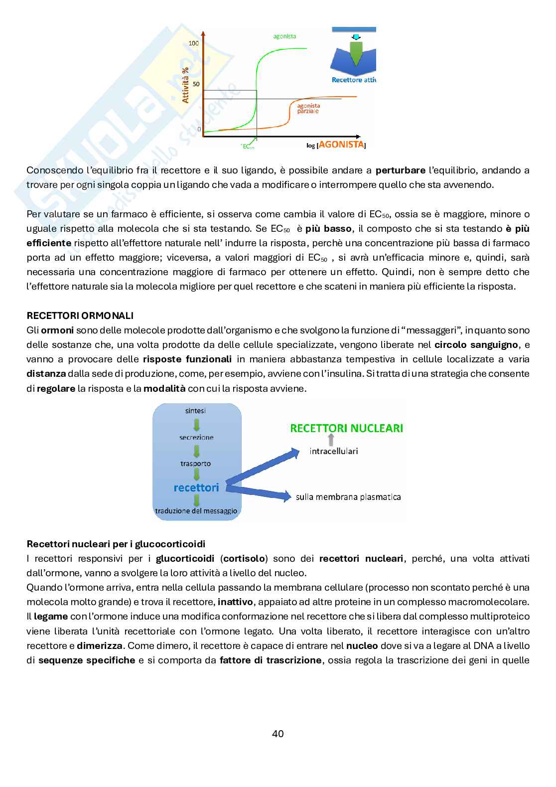 Chimica farmaceutica e tossicologica 1 Pag. 41