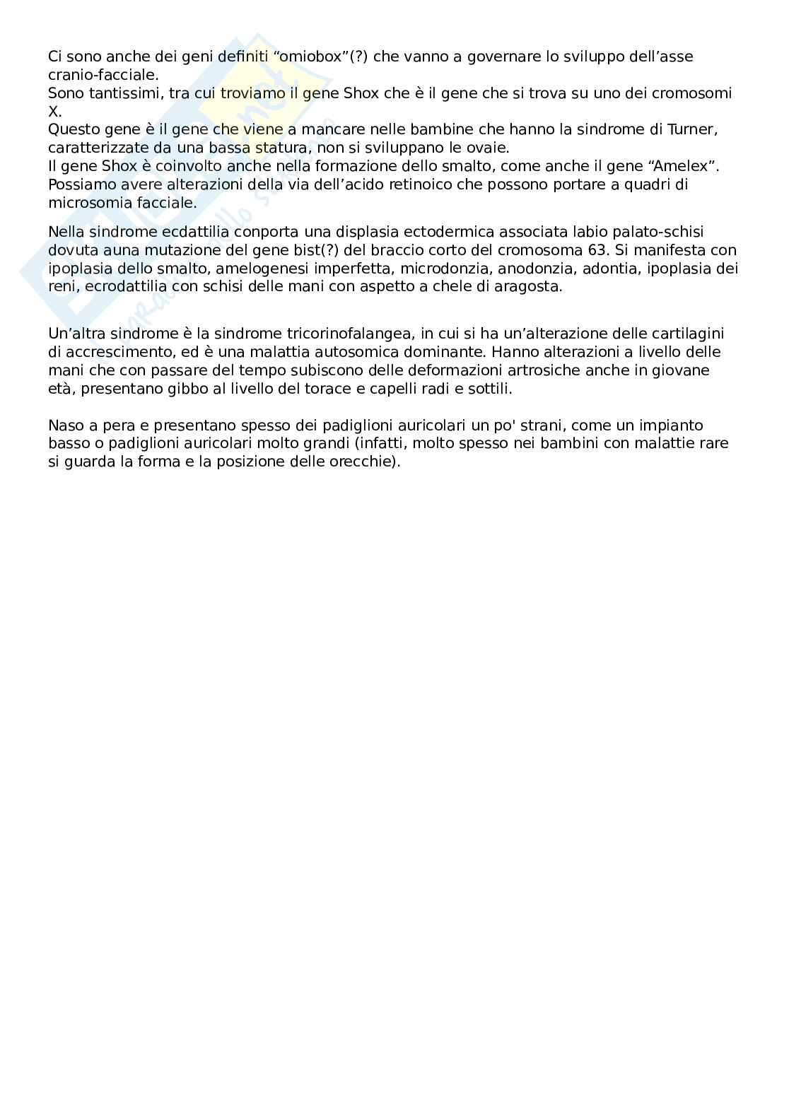 Anatomia dell'apparato stomatognatico  Pag. 11